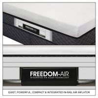 Freedom Air